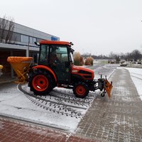 saisonale Betreuung von CS Gartenbetreuung